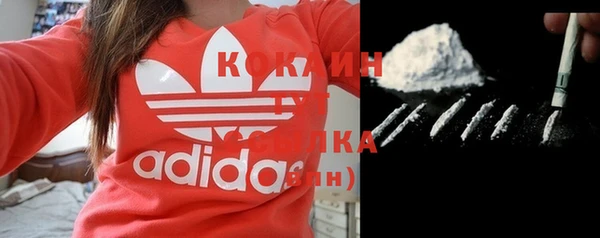 прущие крисы Абаза