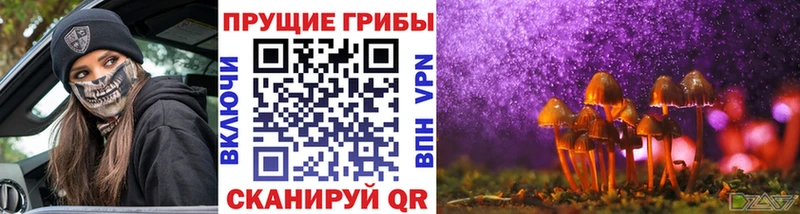 kraken онион  наркота  Соликамск  сайты даркнета какой сайт  Псилоцибиновые грибы ЛСД 